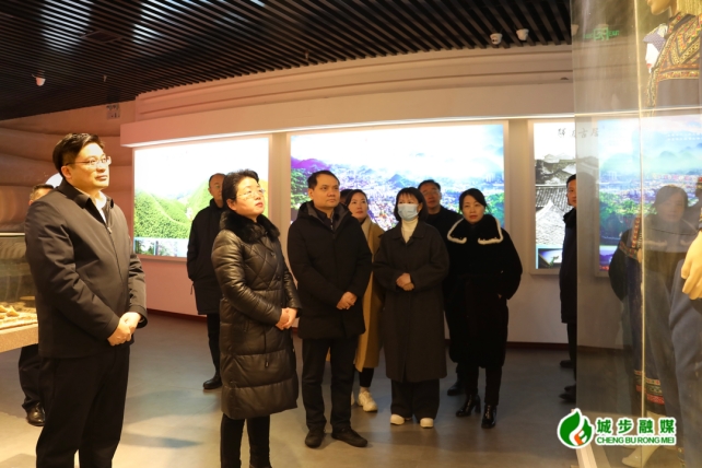 杨志慧到城步调研第三届邵阳旅游发展大会筹备工作(图3)