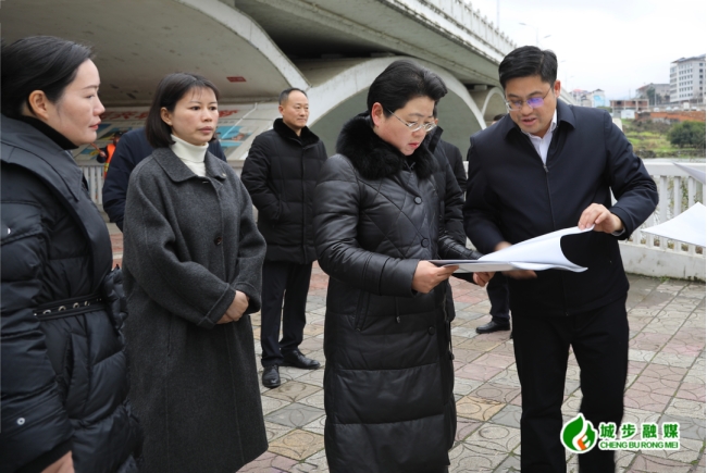 杨志慧到城步调研第三届邵阳旅游发展大会筹备工作(图1)