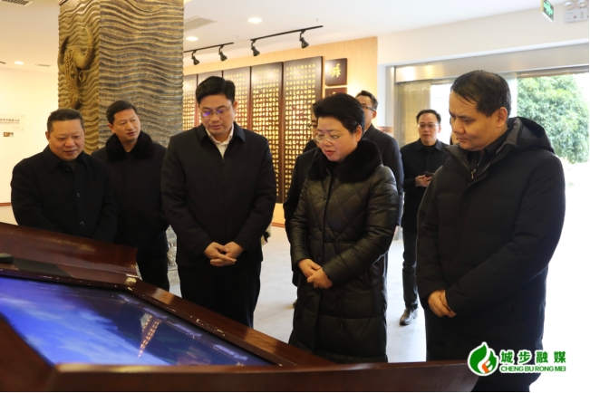 杨志慧到城步调研第三届邵阳旅游发展大会筹备工作(图2)
