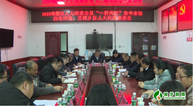 李宪带队赴白毛坪镇、兰蓉乡开展县人大代表集中走访活动(图1)