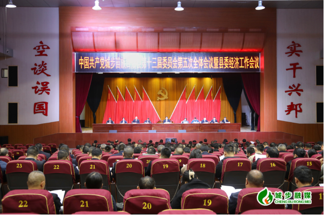 城步召开第十三届委员会第五次全体会议暨县委经济工作会议(图3)