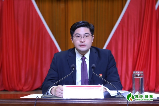 城步召开第十三届委员会第五次全体会议暨县委经济工作会议(图1)