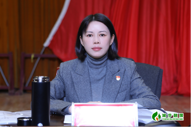 城步召开第十三届委员会第五次全体会议暨县委经济工作会议(图2)