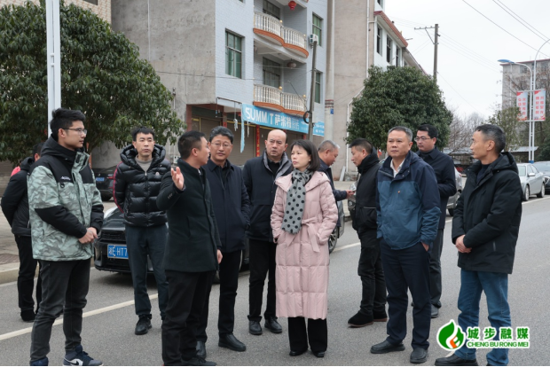 王慧敏实地督导项目建设工作推进情况(图1)