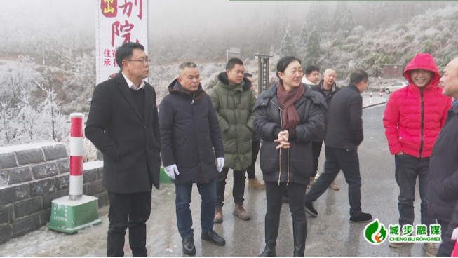 陈立发督导冰雪天气道路保畅工作(图1)