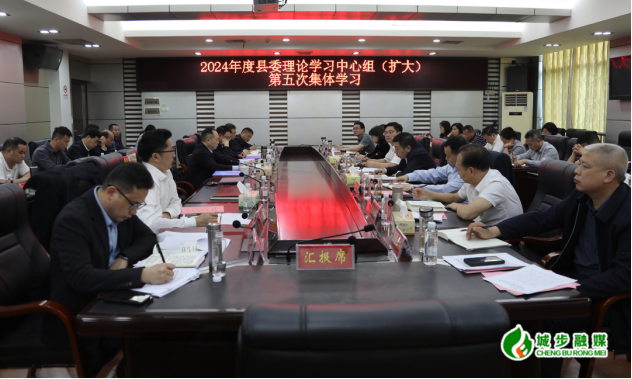 城步委理论学习中心组（扩大）举行2024年第五次集体学习(图2)