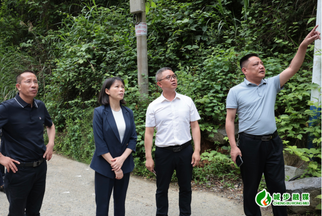 王慧敏赴白毛坪镇调研 _ 政务要闻 _ 城步苗族自治县人民政府