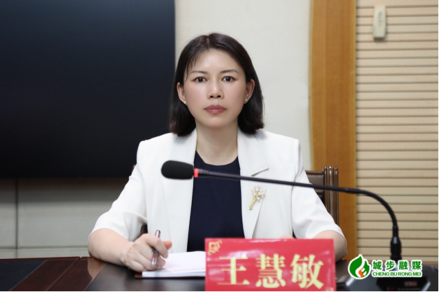 城步召开全县生态环境突出问题整改工作视频会(图2)