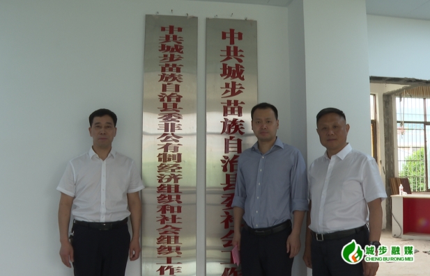 城步委社会工作部举行揭牌仪式(图1)