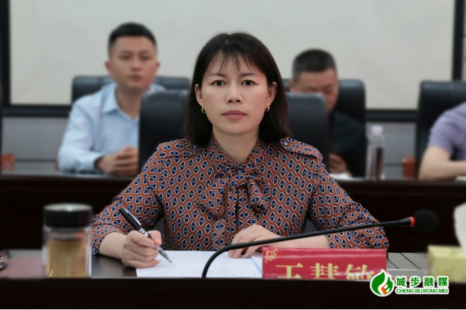 城步召开全县自然资源督察问题整改工作调度会(图2)
