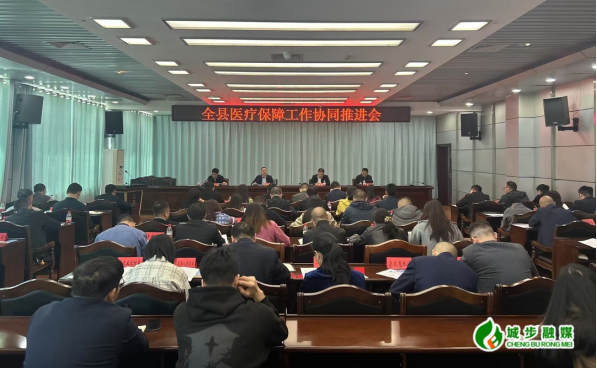 城步召开全县医疗保障工作协同推进会(图1)