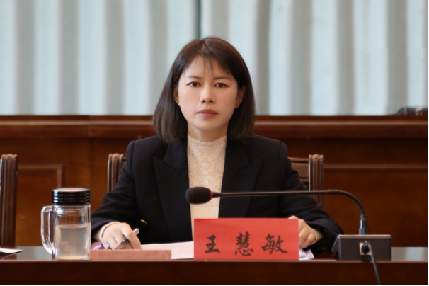 城步召开2024年全县项目工作推进会(图2)