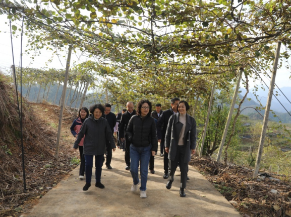 李詠箑国际贸易谈判副代表赴湖南省城步调研定点帮扶工作(图1)