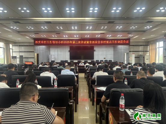 城步召开县委农村工作领导小组2025年第二次会议暨全县农业农村重点工作调度会(图1)