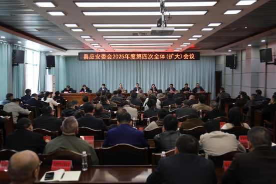 城步召开县应安委会2025年第四次全体(扩大)会议(图3)