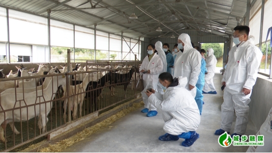 中国农业大学联合多所院校来城开展调研 国家级示范基地落户城步(图1)