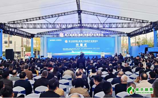 王慧敏带队参加第三届湖南（廉桥）中医药产业博览会(图1)