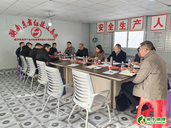 王慧敏督导重点项目建设工作(图1)